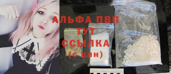 спайс Бородино