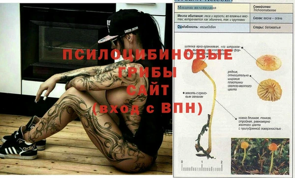 мескалин Бронницы