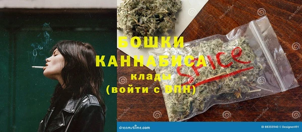 спайс Бородино