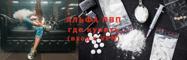 спайс Бородино